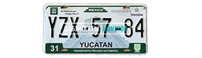 Мексиканский номер для легкового автомобиля